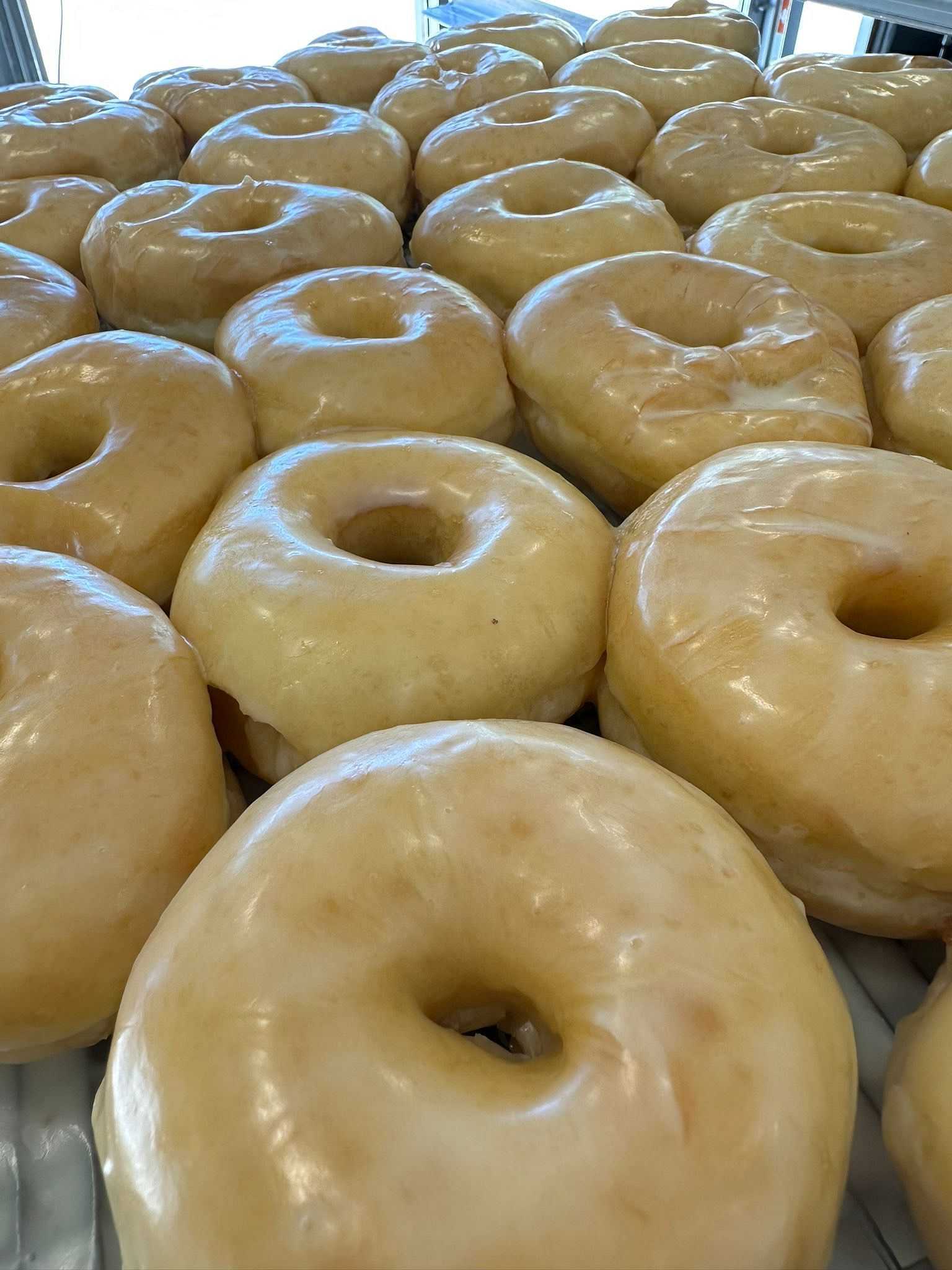 Tray of glazed doughnuts on display.